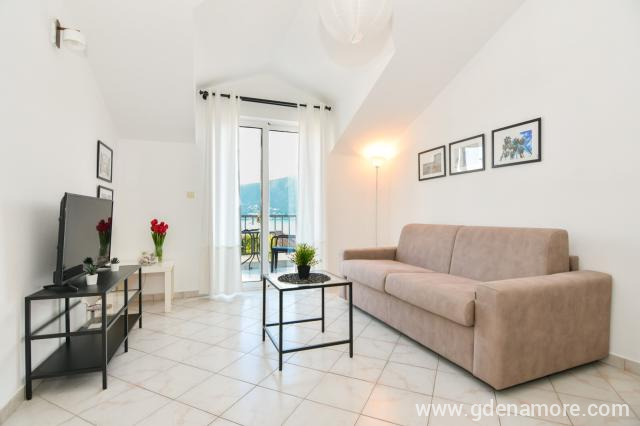 Apartman 1 i 2 u APARTMANI STANIŠIĆ, privatni smeštaj u mestu Herceg Novi, Crna Gora